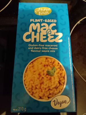 Mac & cheez at Veggie Garden in Rotterdam