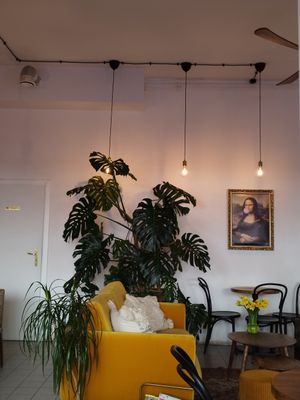 Look at this monstera! So jealous at Eter Vegan Bakery in Warsaw