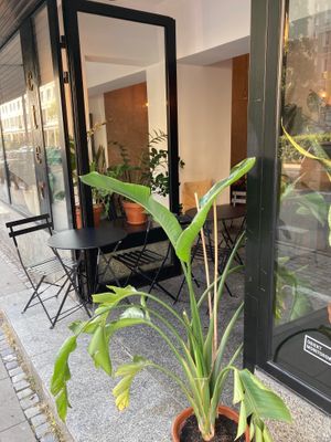  at Eter Vegan Bakery in Warsaw