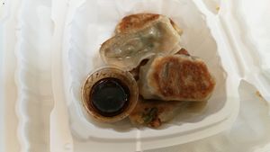 Gyoza at 4 Stones Vegetarian Cuisine in Richmond