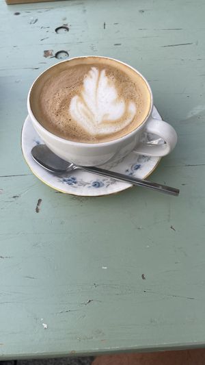   at Birds Bistro in Gottingen