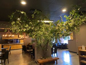 Interior view  at Hanjan Oliver in Edmonton