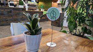  at Harvest in Halifax