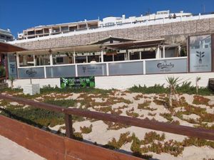  at Cocos Veggie e Tal in Foz Do Arelho