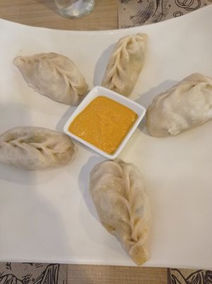 Momo at Vegan Food Heaven in Barcelona