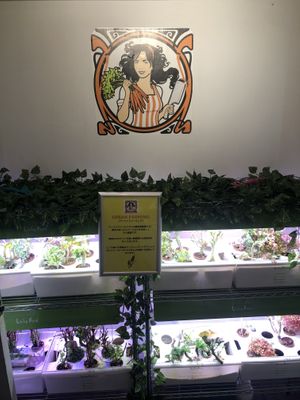 Hallway to restaurant   at The Vegetarian Butcher Ikebukuro in Tokyo