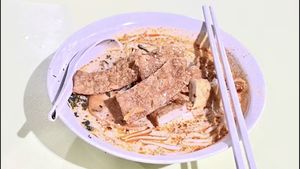 Delicious Laksa🍜 at Shan Yuan 善缘素食 in Central Singapore