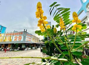 ✅ at Shan Yuan 善缘素食 in Central Singapore