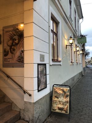 Seen from the street  at Grönt in Jonkoping