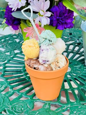  at Moo-Over in Columbia City