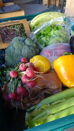 Organic Vegetables at Kent Food Hubs CIC in Folkestone
