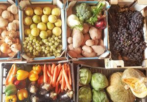 Some of our lovely Local Biologic Vegetables at OrtoMio in Palermo