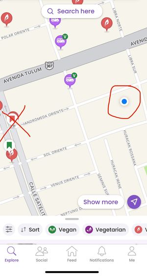 Actual location is the blue dot on right not location marked on the leftt  at Botanica Garden Cafe in Tulum