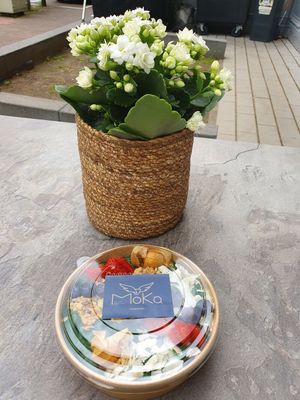 Greenboostbowl Tage away at Moka Roasters in Frankfurt