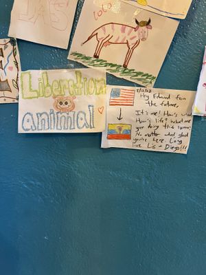 muro de arte  at Kandy Soda Bar in Puyo