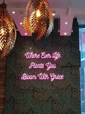 Inside at The Vibe in Liverpool