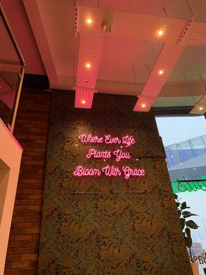 Interior design  #Veganuary at The Vibe in Liverpool