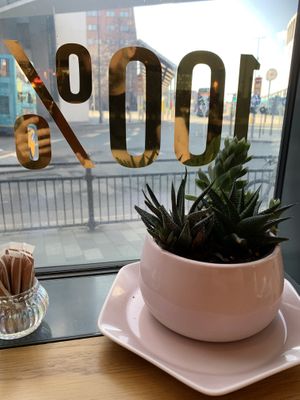 Windows bench. Plugs for laptops and phone charging.  at The Vibe in Liverpool