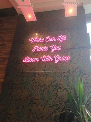  at The Vibe in Liverpool