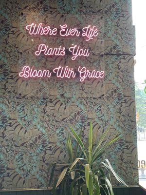 Enough said    at The Vibe in Liverpool