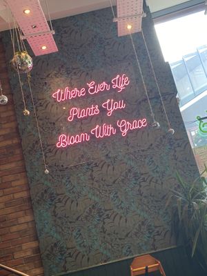   at The Vibe in Liverpool