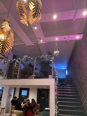   at The Vibe in Liverpool