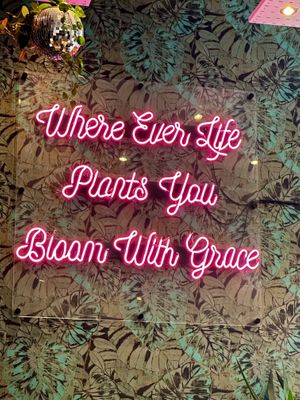   at The Vibe in Liverpool