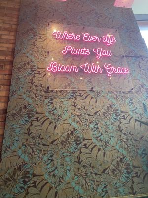   at The Vibe in Liverpool