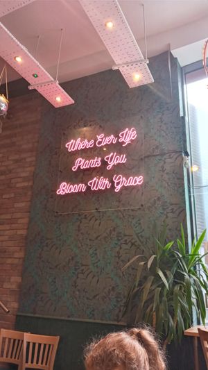 The vibe at The Vibe in Liverpool