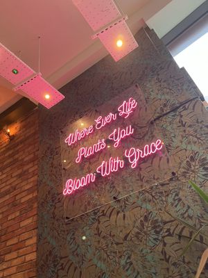   at The Vibe in Liverpool