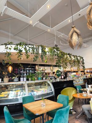 Cute plants at The Vibe in Liverpool