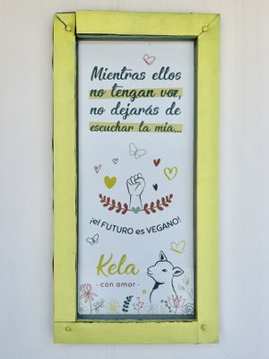 💚sí!  at Kela Con Amor in Puerto Madryn