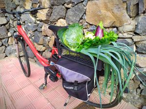 What a treat  at BioSfera in La Gomera