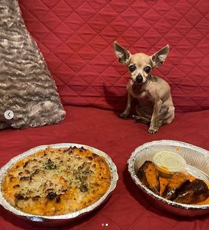 Baked Mac and Cheese and 3pc Buffalo Wings at Love Amaro Pizzeria in Venice