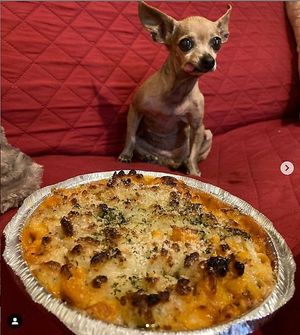 Baked Mac and Cheese at Love Amaro Pizzeria in Venice