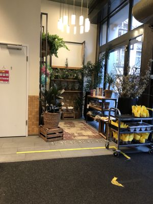 Inside   at Enzian Vegan Food in Zurich