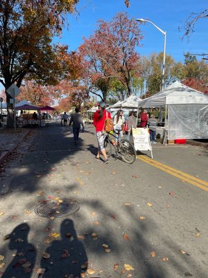 Small farmers market but still great  at Santa Clara Farmers Market in Santa Clara