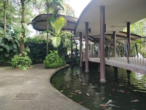 The restaurant surroundings at The Social Kitchen - Jurong Bird Park in West Singapore