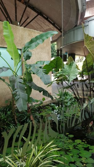 Nice ambience at The Social Kitchen - Jurong Bird Park in West Singapore