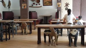 Great place for the family at The Social Kitchen - Jurong Bird Park in West Singapore