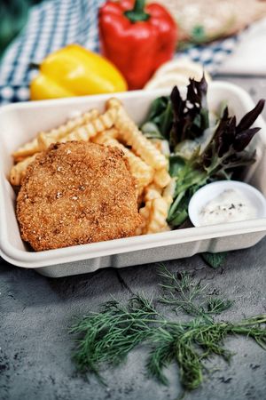 Schnitzel with Fries and Salad at The Social Kitchen - Jurong Bird Park in West Singapore