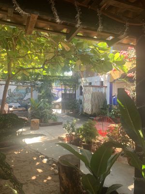Interior at Barrio Cafe in Puerto Escondido
