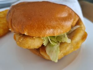 Fish are friends at Swallow Coffee Traders in Rockdale