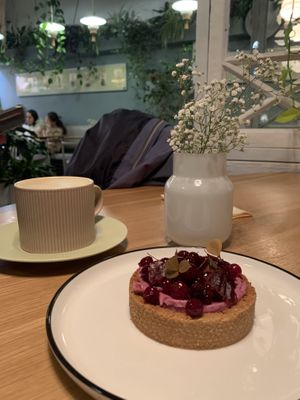 Desert at Anna's Secret Garden in St Petersburg