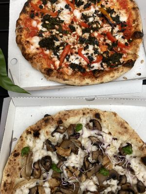   at Mastino Pizza in Amsterdam