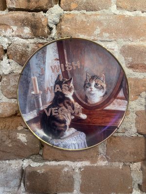   at Mastino Pizza in Amsterdam