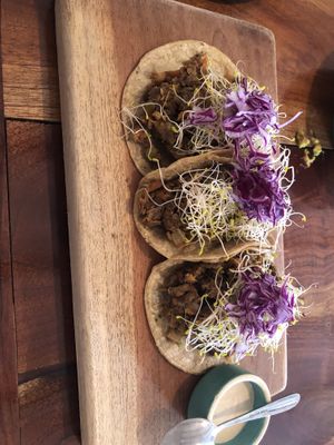 Spicy lentil tacos  at Casa Maca in Valladolid