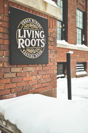 Front entrance on University Ave. at Living Roots Wine & Co in Rochester