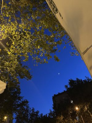   at Cerveseria L'Alternativa in Barcelona