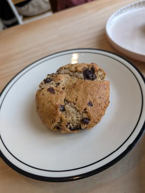  at The Duck in Dunedin